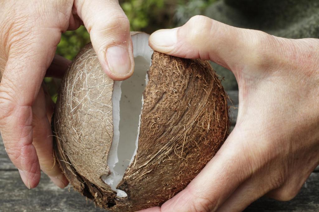 Открывает кокос