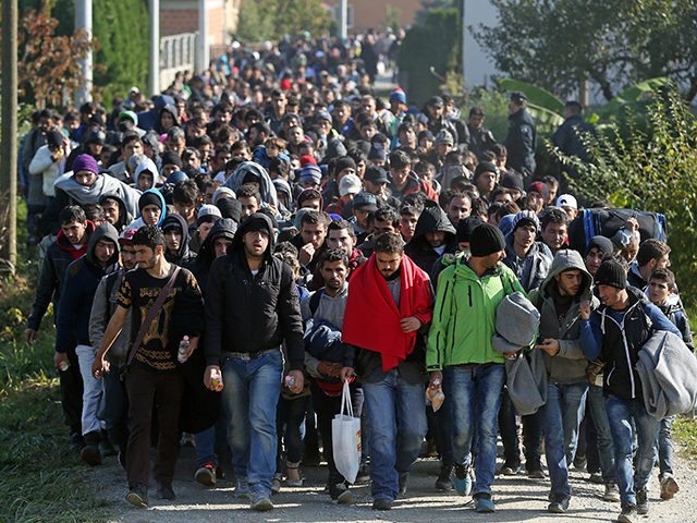 поток беженцев в европу