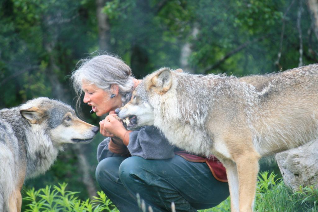 Женщина и волки