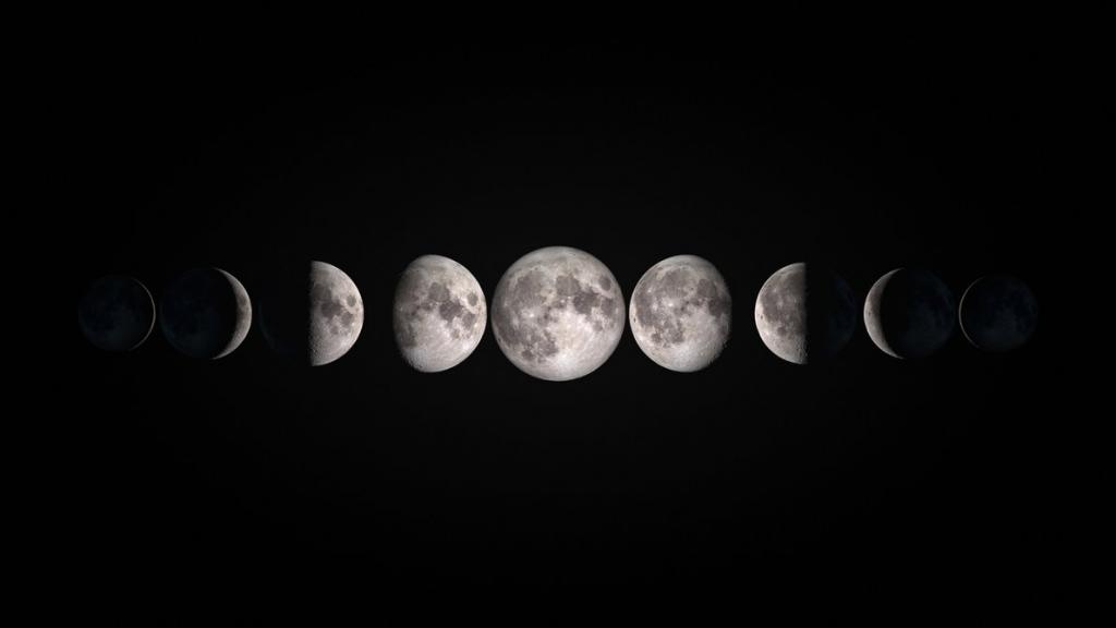 Стрижка в 11 лунный день: характеристика дня, отзывы