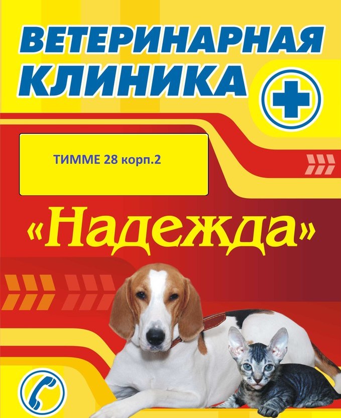 Ветклиника "Надежда" в Архангельске: режим работы, услуги, отзывы