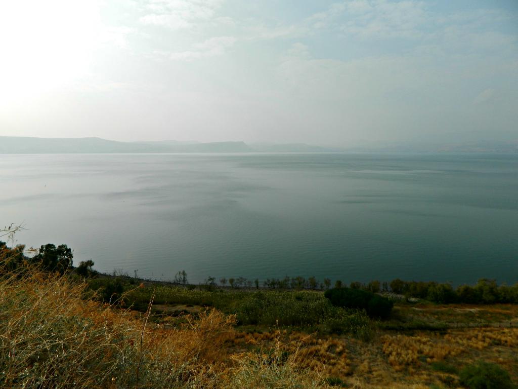 Берег Галилейского моря