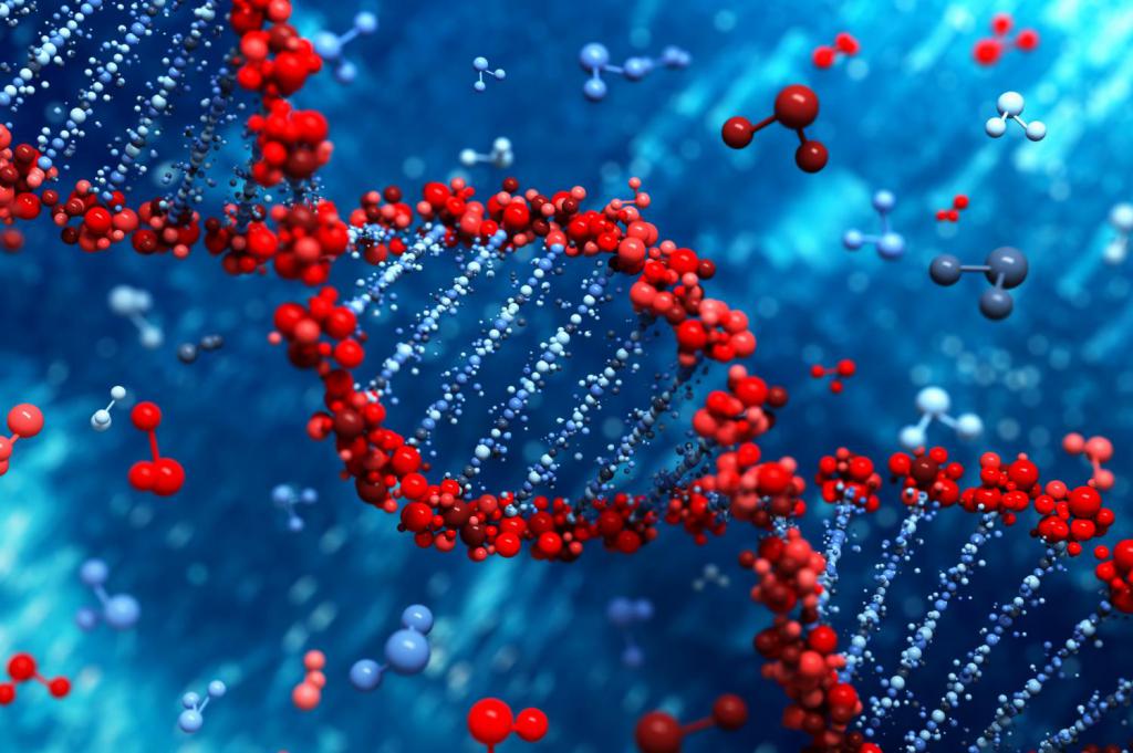 Вторичная структура ДНК