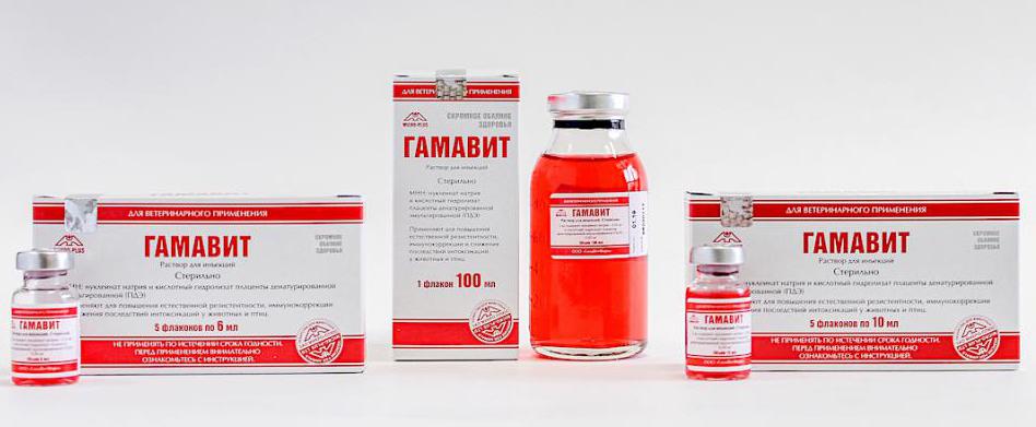 Разновидности объемов препарата "Гамавит"