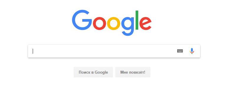 Окно поисковой системы Google