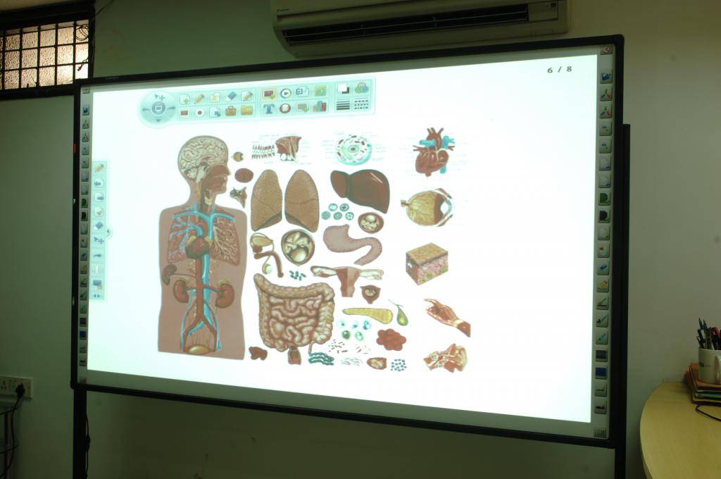 Использование интерактивной доски на уроке биологии