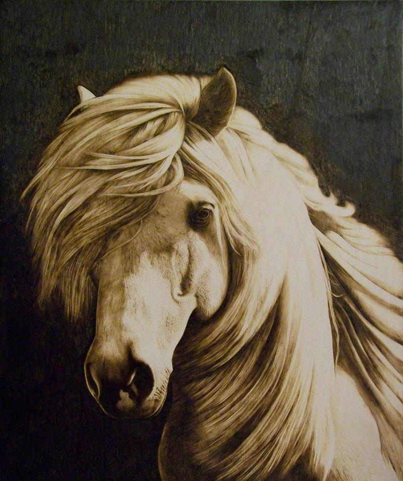 Лошадь пирография