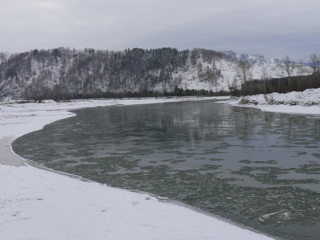 река Чарыш зимой