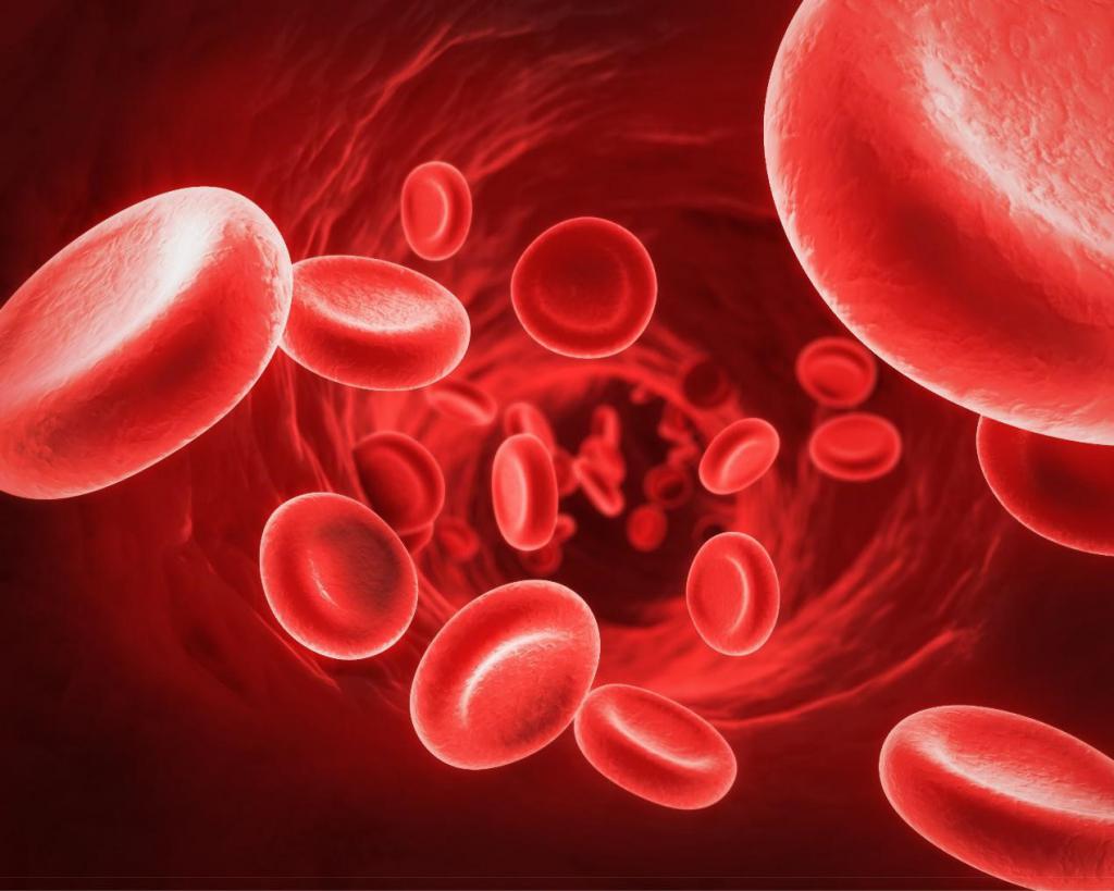 гемоглобин в крови