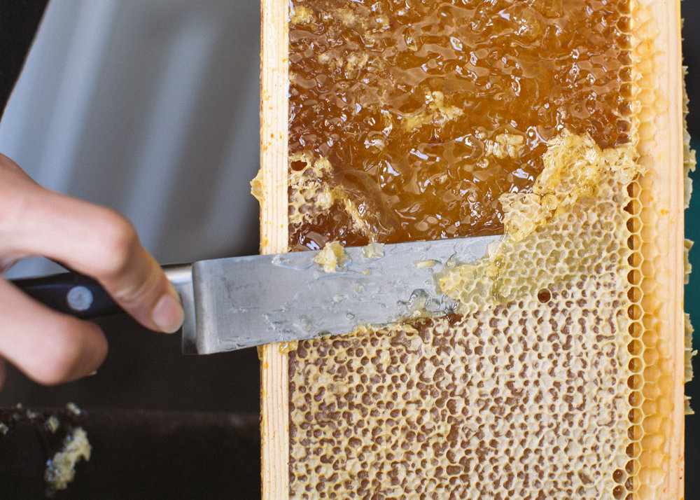 Советы по уходу за пчелами для начинающих