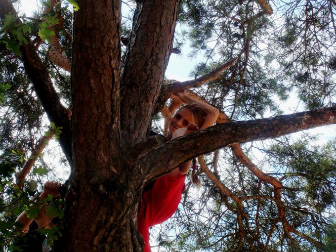 Как залезть на дерево
