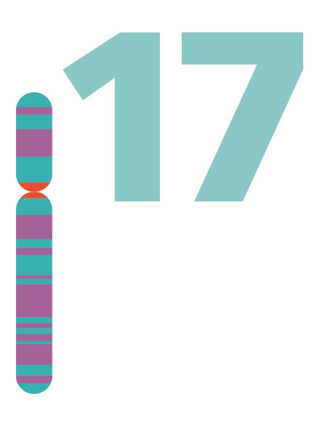 17 хромосома
