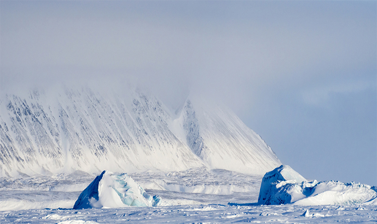 Ледник на острове большевик