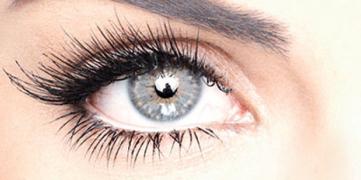 almea xlash отзывы