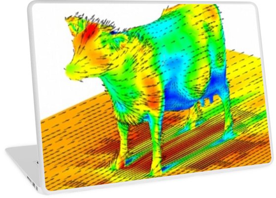Аэродинамика коровы