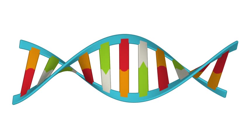 Цветная модель ДНК.