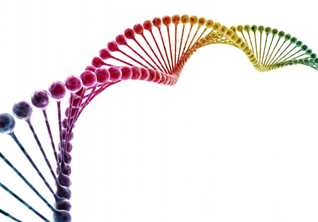 3D спираль ДНК.
