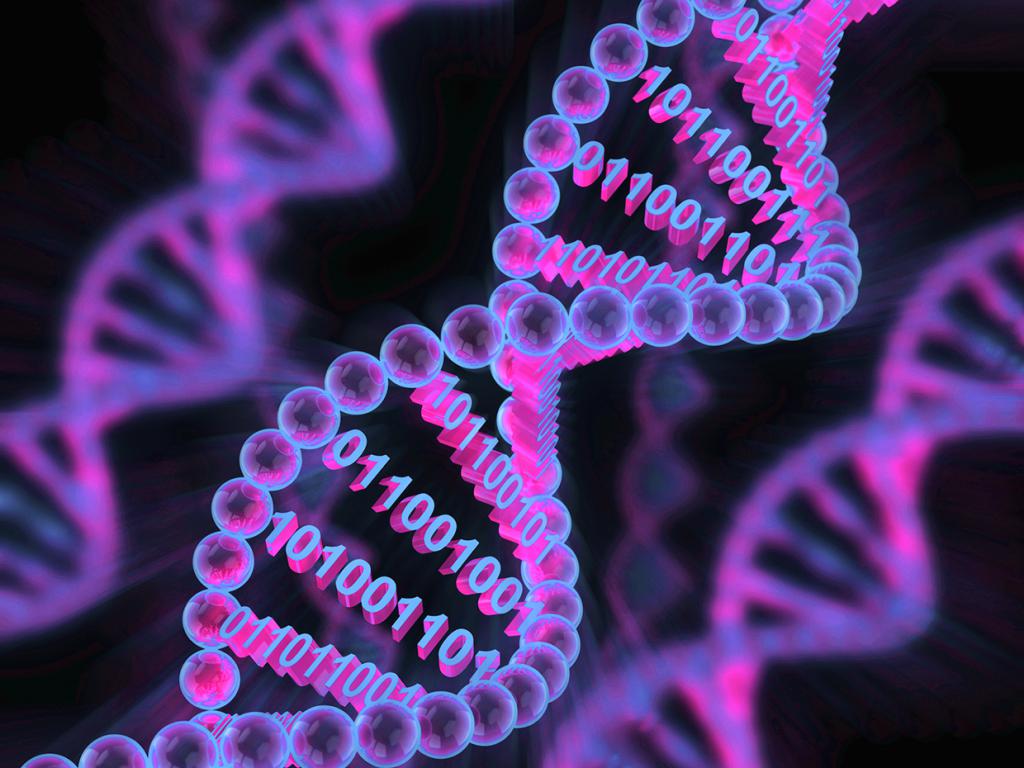 Цифровая модель ДНК.
