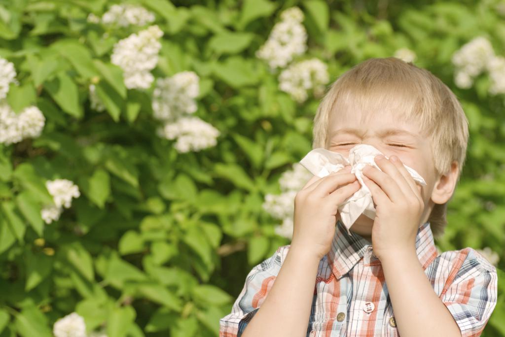 Для профилактики аллергического бронхита у детей важно избегать аллергенов