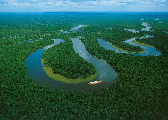 Растительность Амазонки