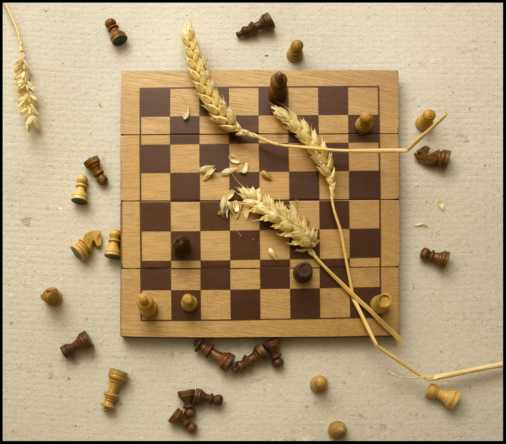 Шахматы и зерна пшеницы
