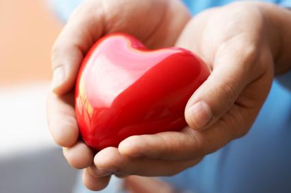 Сердце - жизненно важный орган