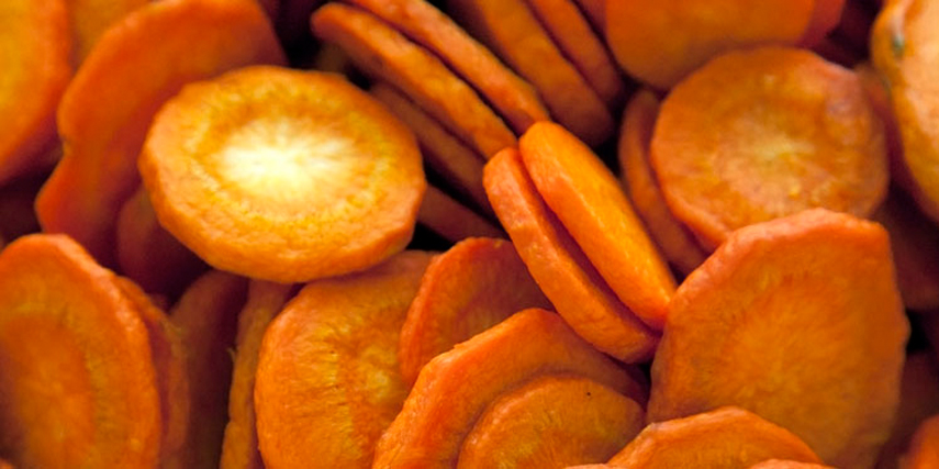 Морковь кружками