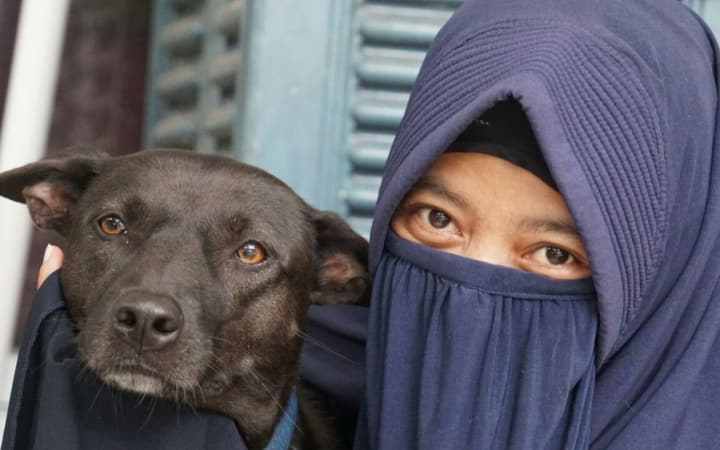 Мусульманка и собака
