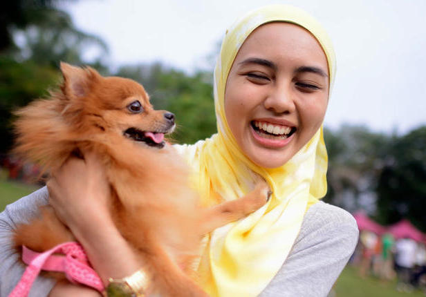 Мусульманка и пес