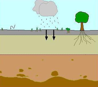 основные факторы почвообразования