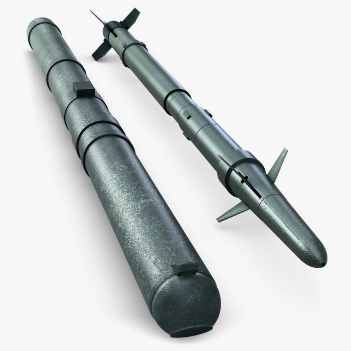 противотанковая ракета вихрь 1