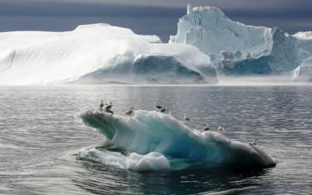 таяние ледников 2012