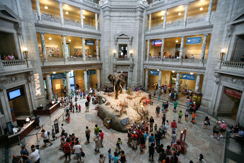Музей естественной истории в Вашингтоне