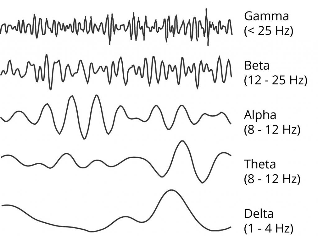 Основные волны ЭЭГ