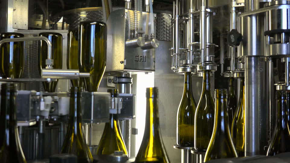 производство вина