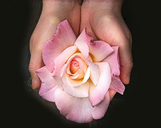 Роза для медитации