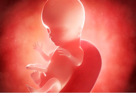 Беременность после анэмбрионии: риски, мнение врачей