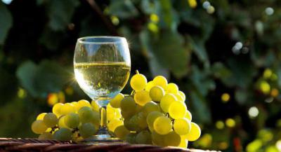 Полезно ли белое сухое вино при всд