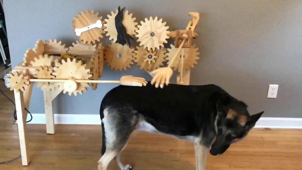 Машинка для ласки: плотник сделал устройство для автоматического поглаживания собак (видео)