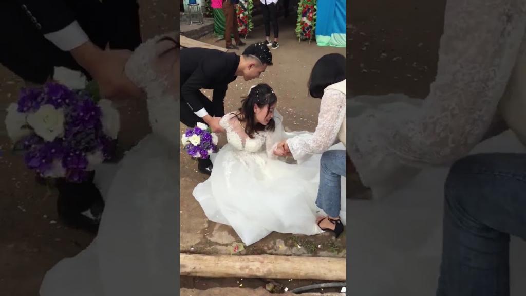 "Не ходи, хозяйка, замуж!": собака улеглась на платье невесты и ни в какую не хотела уходить. Видео