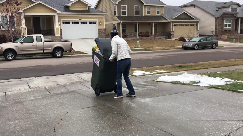 Девушке надо было выкинуть мусор, но на улице был гололед (видео)