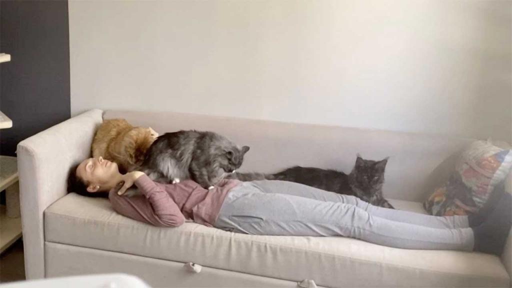 Екатерина научила своих кошек делать массаж: теперь она сама себе завидует (видео)