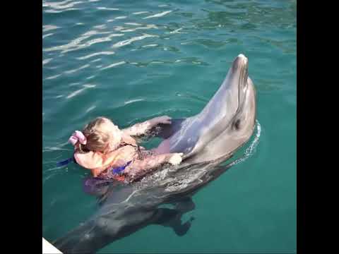 Отважная девочка. Трехлетняя дочь Пелагеи показала смелый трюк с дельфином (видео)