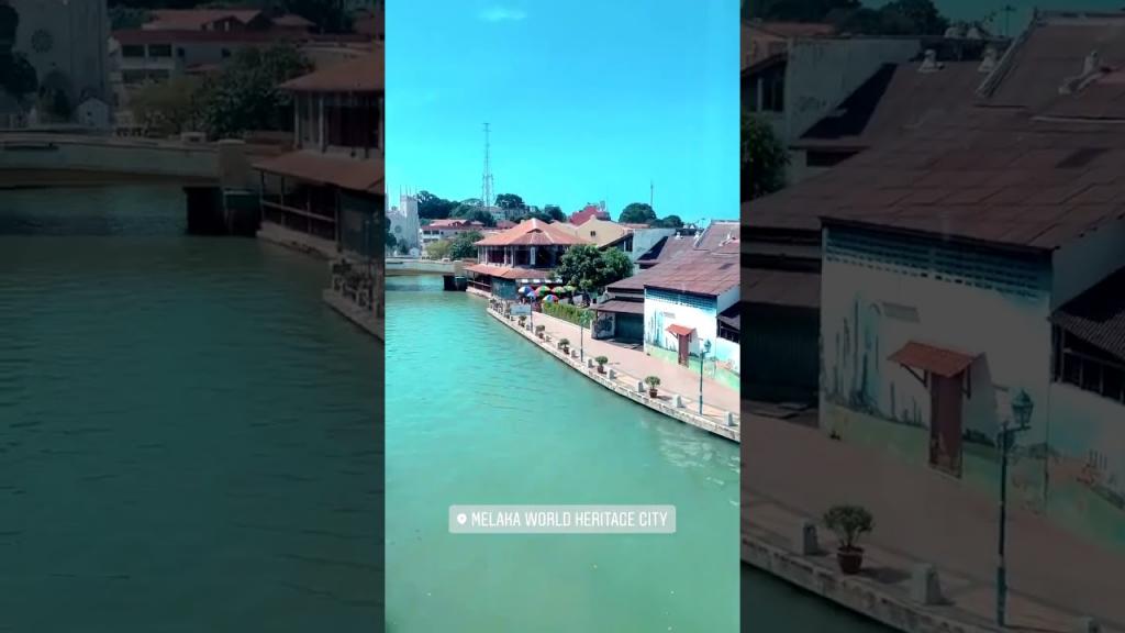 Житель Малайзии показал, как сейчас выглядит местная речка, которая стала чище за время карантина (фото и видео)