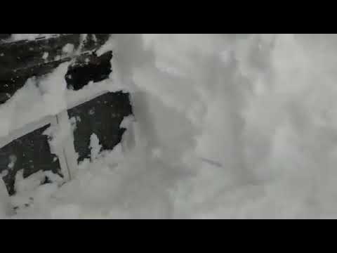 Снегопад на Сахалине завалил дома до крыш: как люди выбираются (видео)