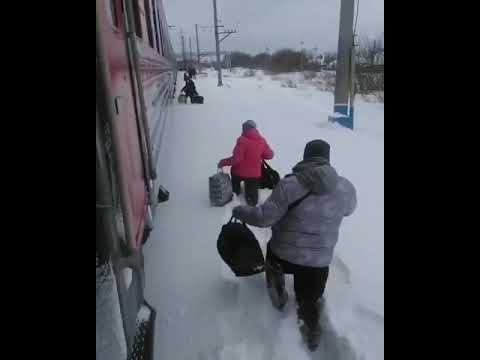 Поезд следовал из Абакана в Москву. На станции Алтайская пассажиров высадили в сугробы (видео)