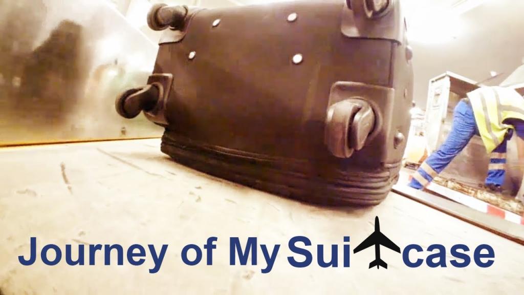 Парень прикрепил камеру на свой чемодан в аэропорту: получилось увлекательное видео о его пути