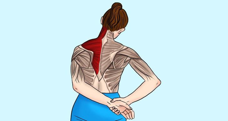 Упражнения на растяжку позвоночника мышц шеи