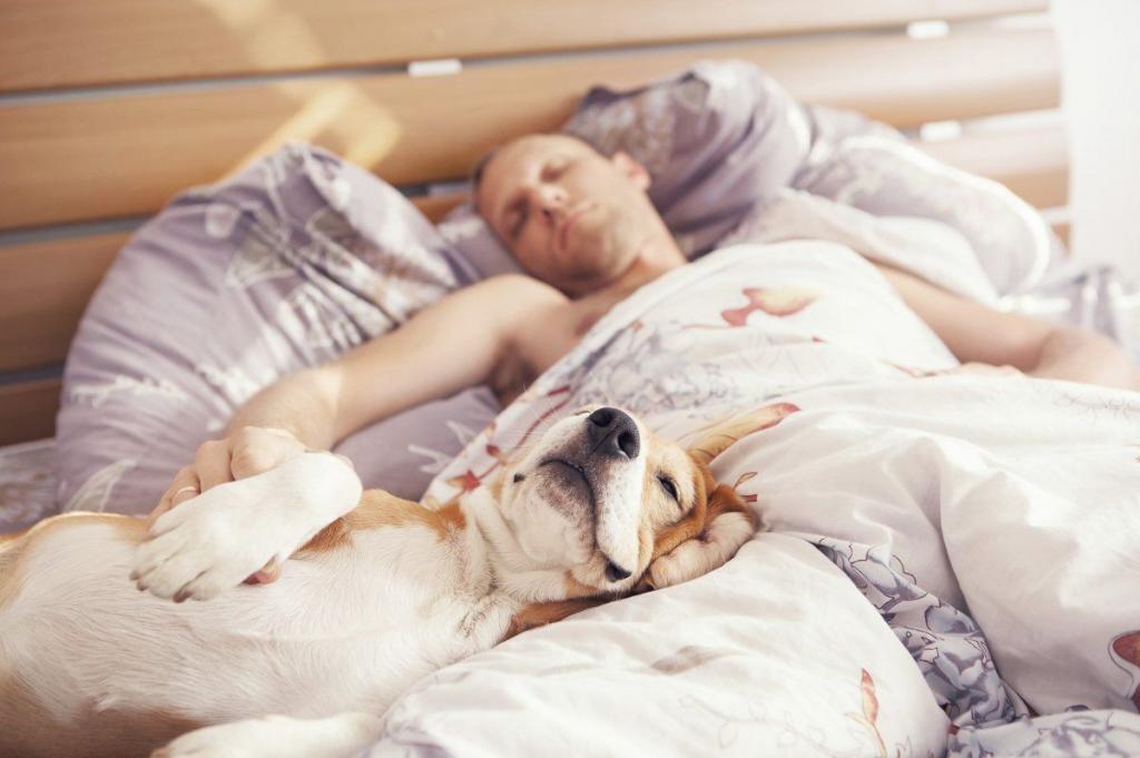 Как влияют кошки на сон человека