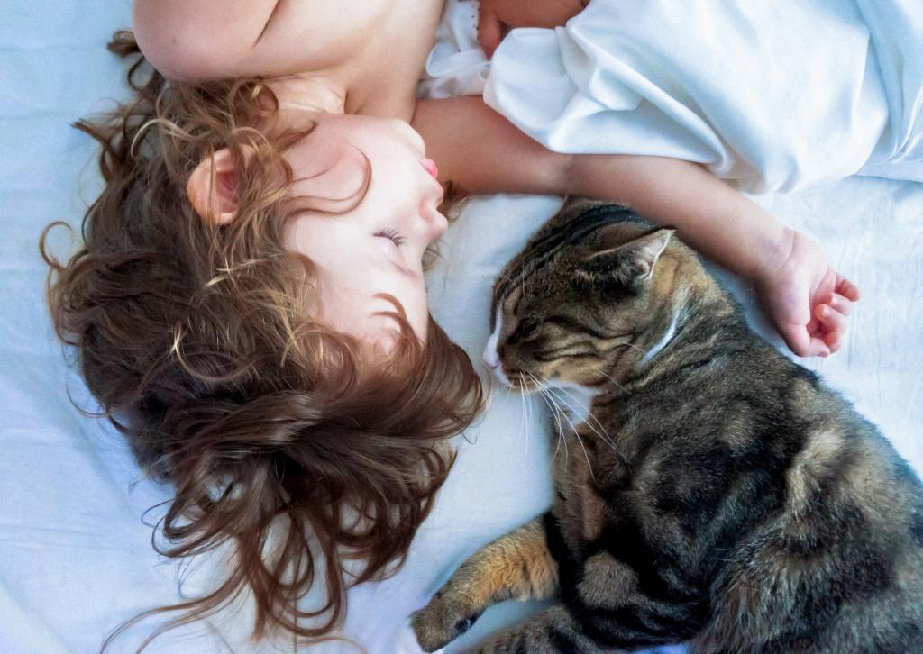 Как влияют кошки на сон человека